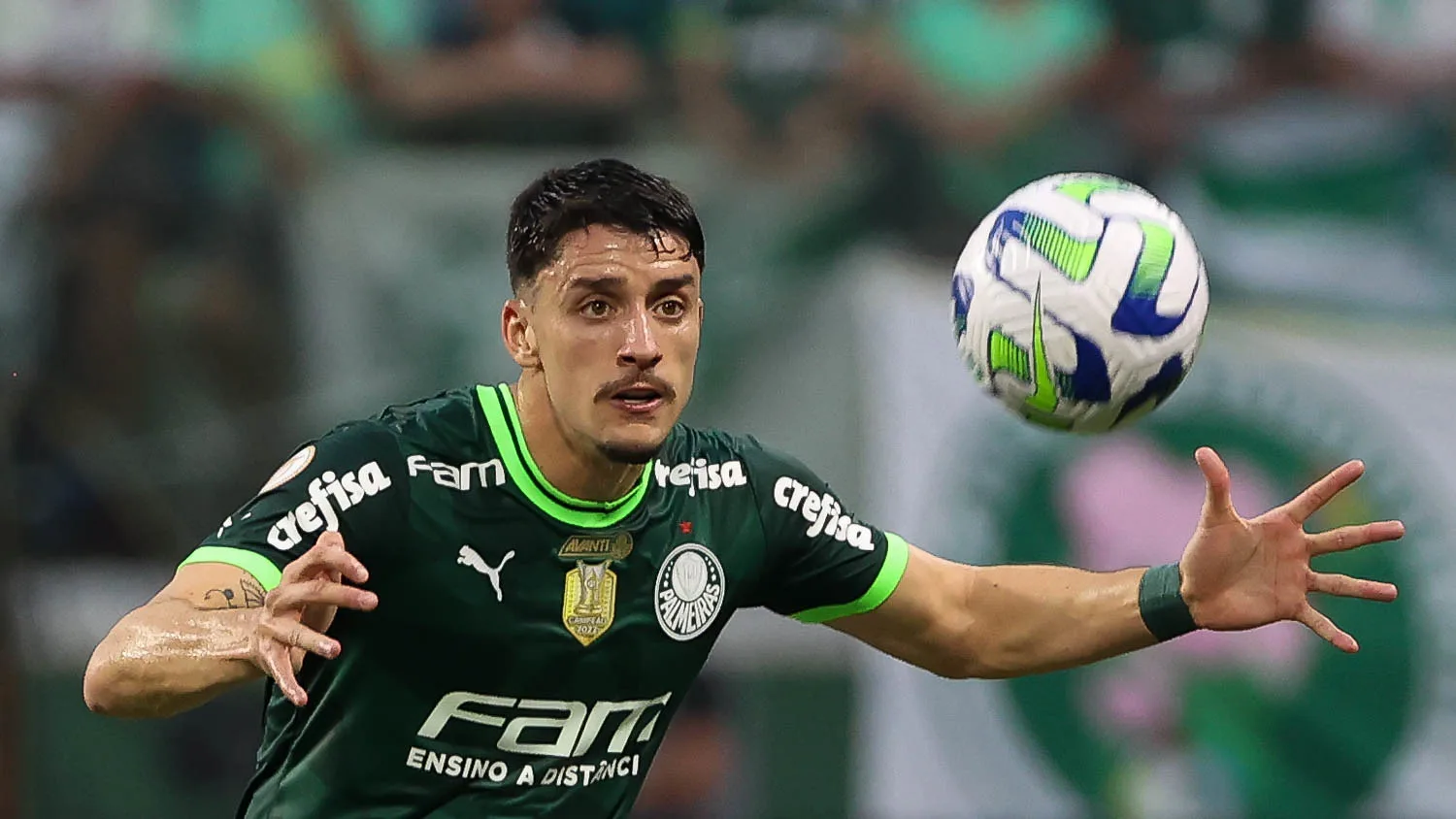 Piquerez palmeiras