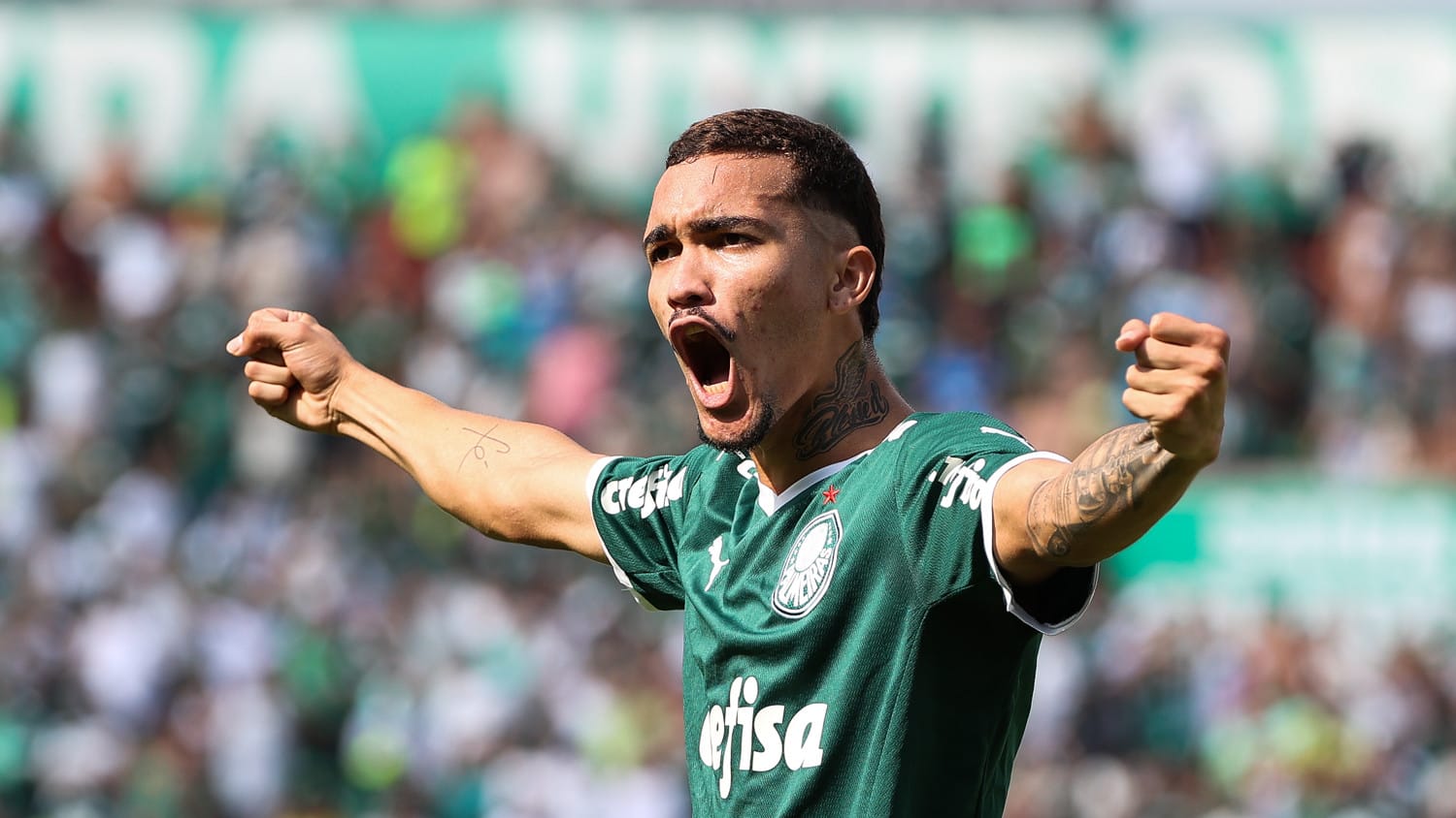 Palmeiras ruan ribeiro