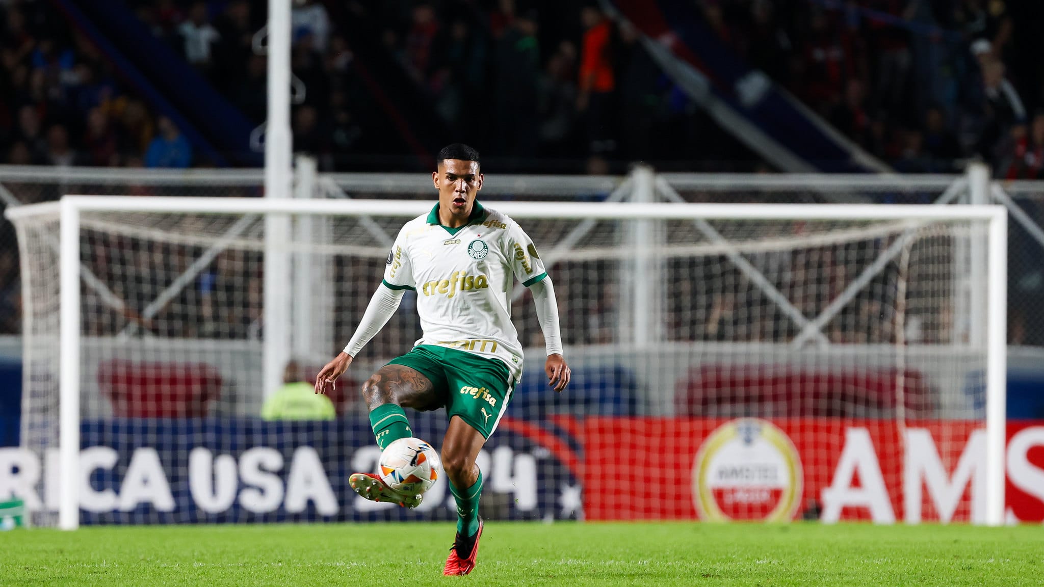 Naves palmeiras