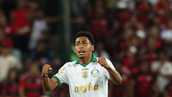 palmeiras luighi