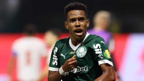 estêvão palmeiras
