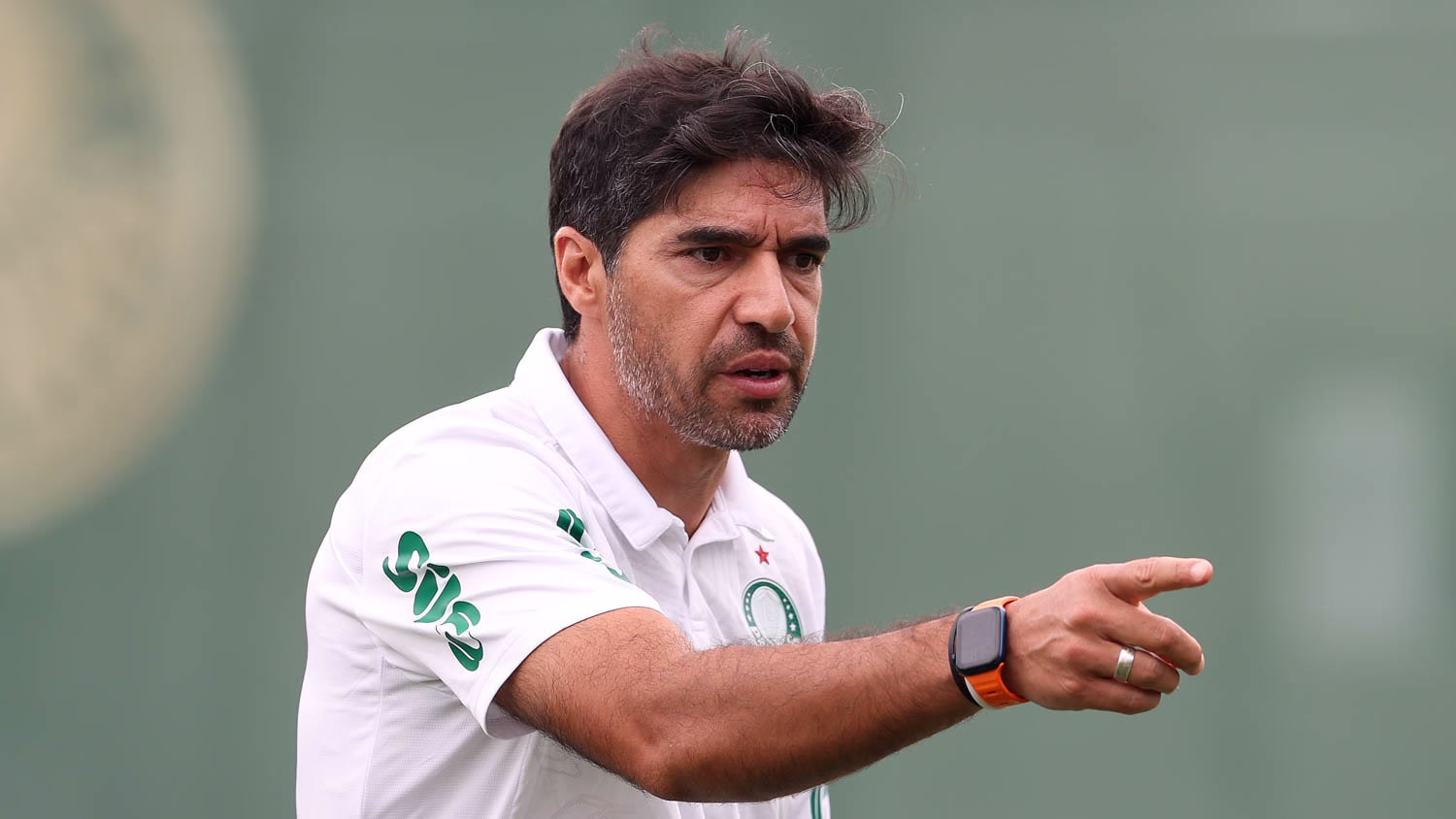 abel ferreira palmeiras
