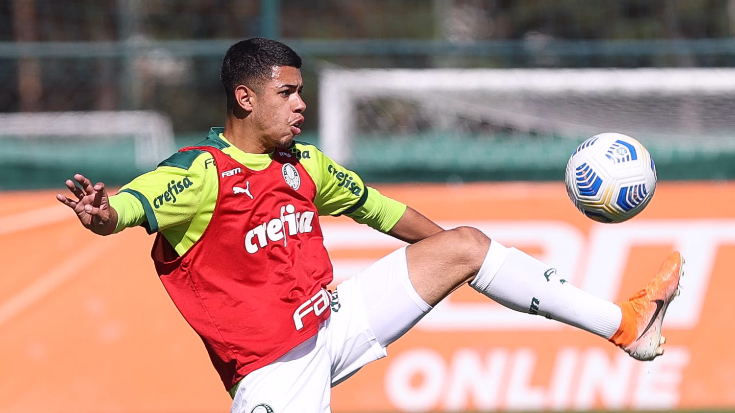 caio cunha palmeiras