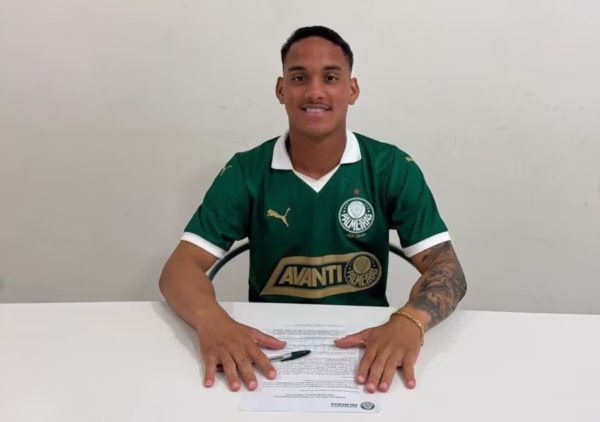 fernando gabriel palmeiras
