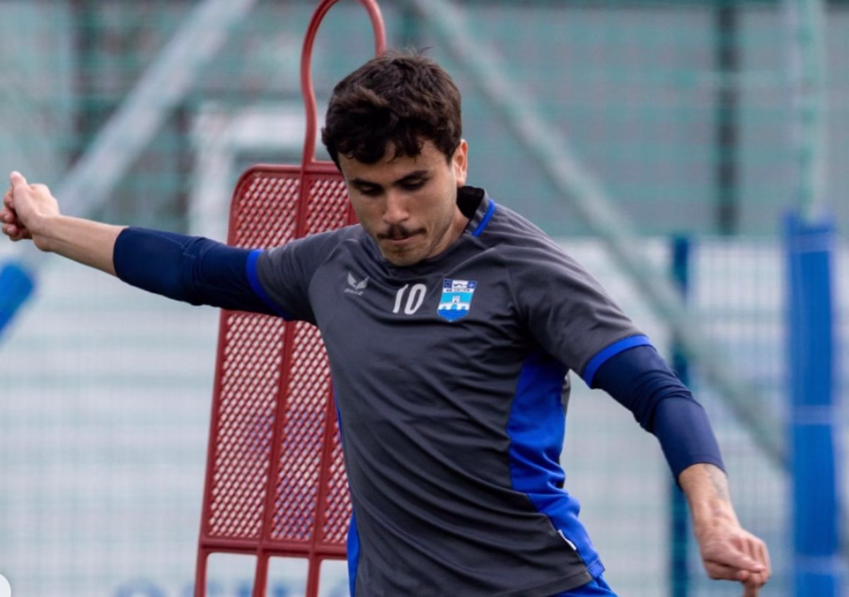 palmeiras pedro lima