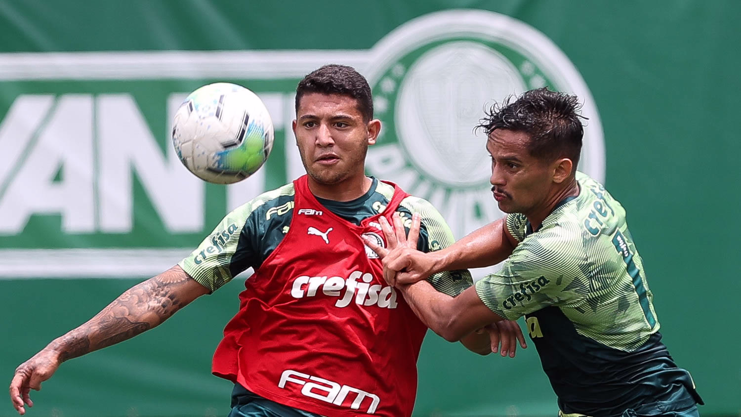 pedro bicalho palmeiras