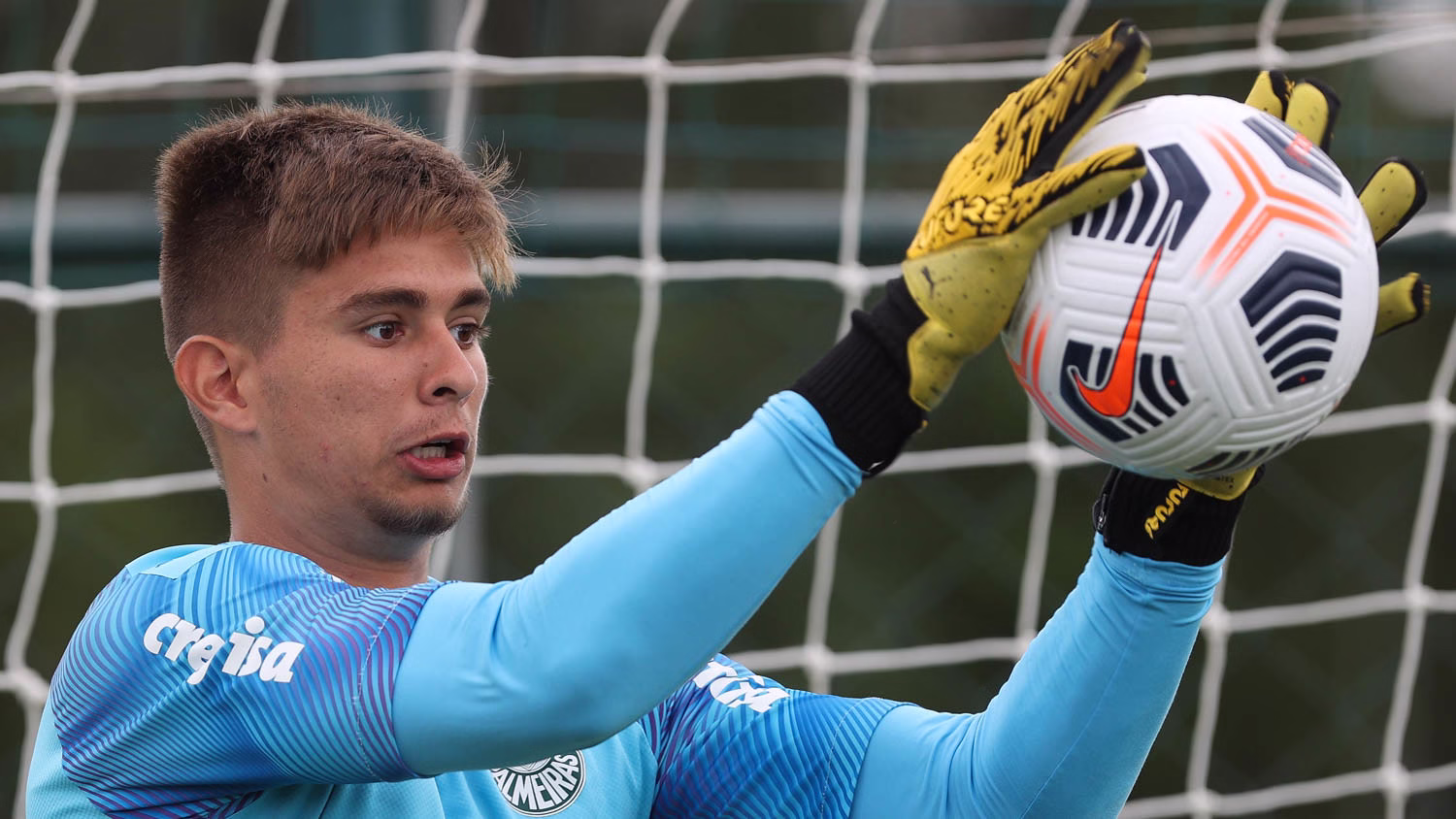 Bruno Carcaioli Palmeiras