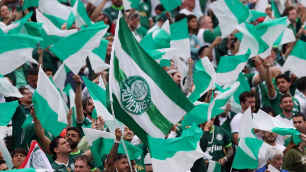 palmeiras torcida