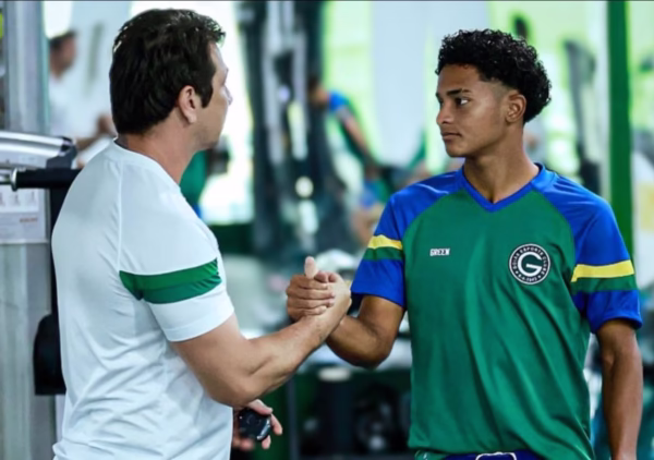 halerrandrio palmeiras