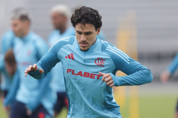 pedro flamengo palmeiras