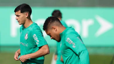 palmeiras