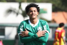 halerrandrio palmeiras
