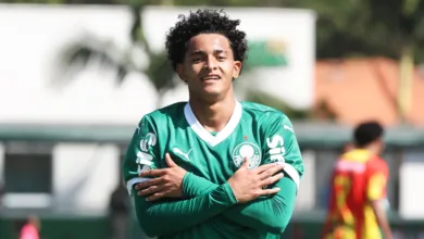 halerrandrio palmeiras