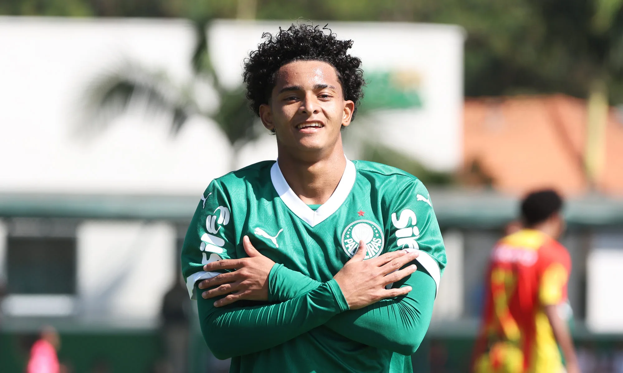 halerrandrio palmeiras