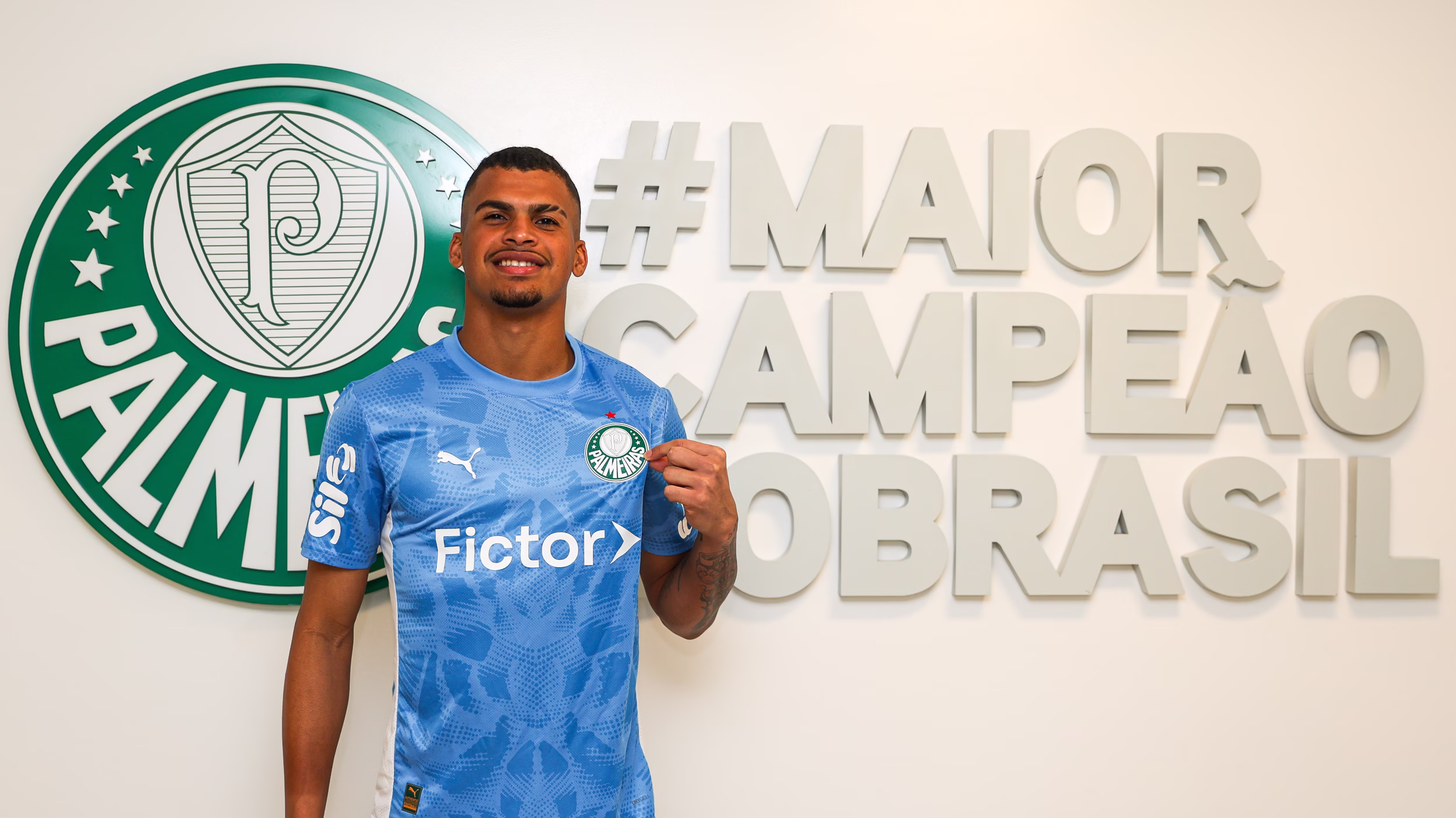 aranha palmeiras