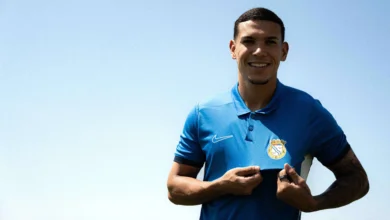 naves palmeiras alverca