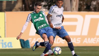 mailton são paulo palmeiras