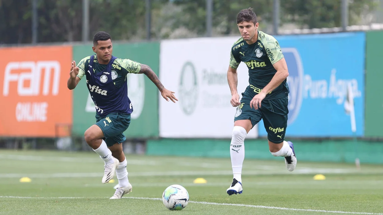 juninho palmeiras