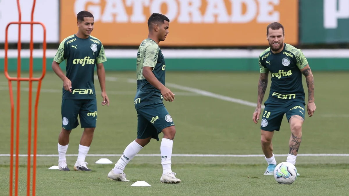 palmeiras juninho