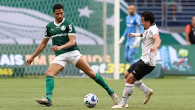 palmeiras x botafogo