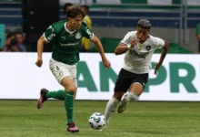 palmeiras x botafogo