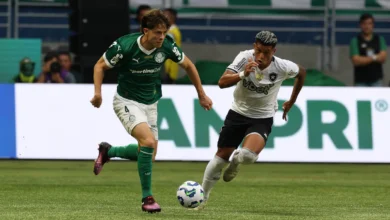 palmeiras x botafogo