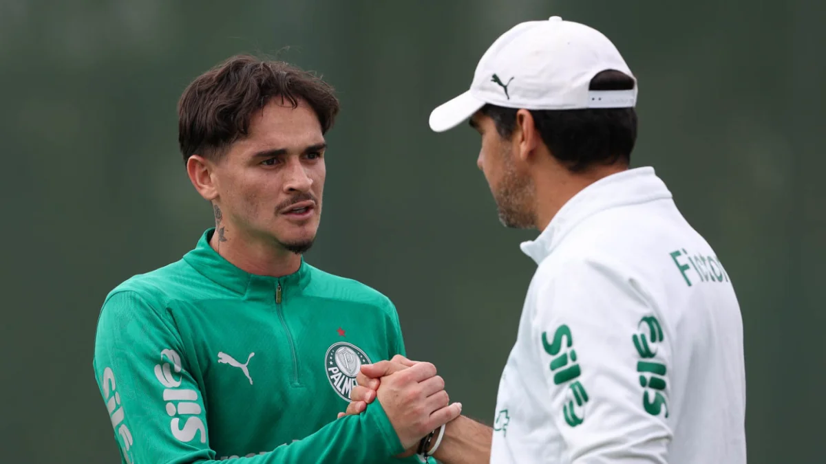 Khellven palmeiras