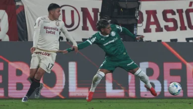 palmeiras x universitario