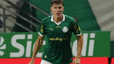 benedetti palmeiras