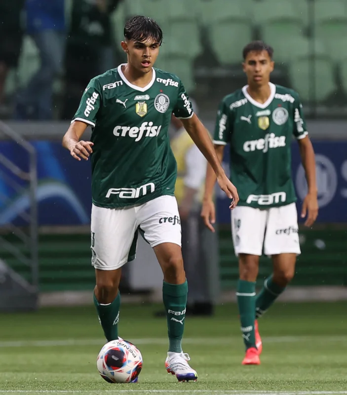 palmeiras