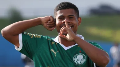 palmeiras gilberto