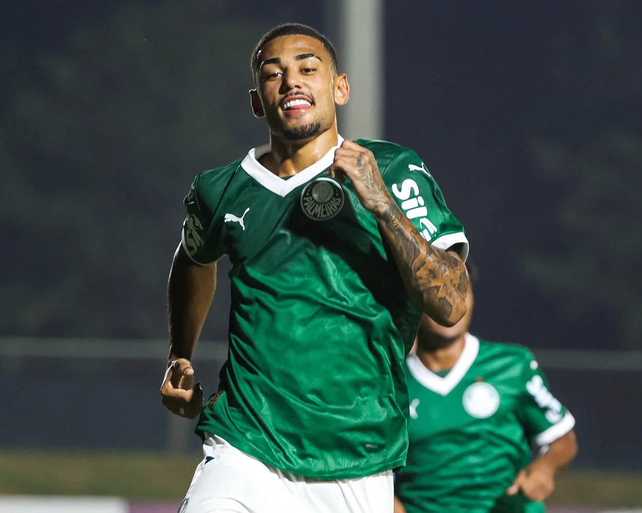 riquelme palmeiras