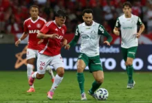 palmeiras x internacional