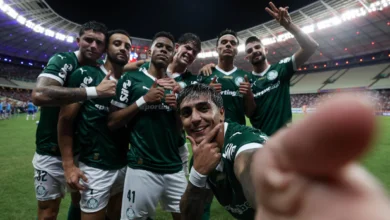 palmeiras