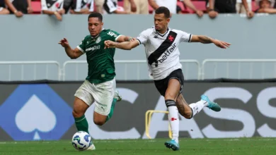 palmeiras