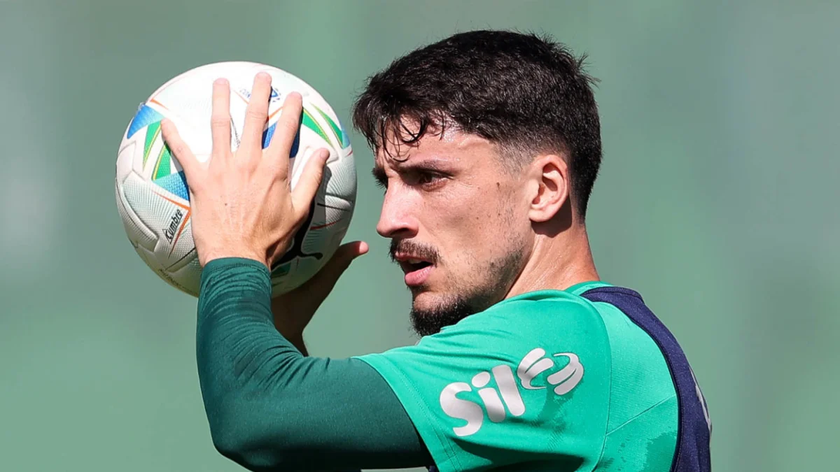palmeiras piquerez
