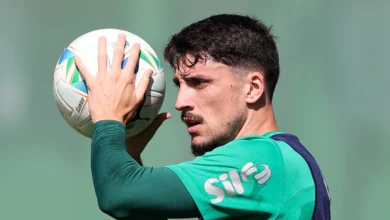palmeiras piquerez