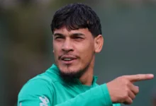 Gustavo Gómez palmeiras
