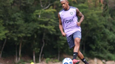 botafogo danilo