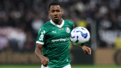 allan palmeiras
