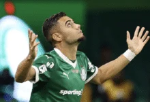palmeiras andreas pereira