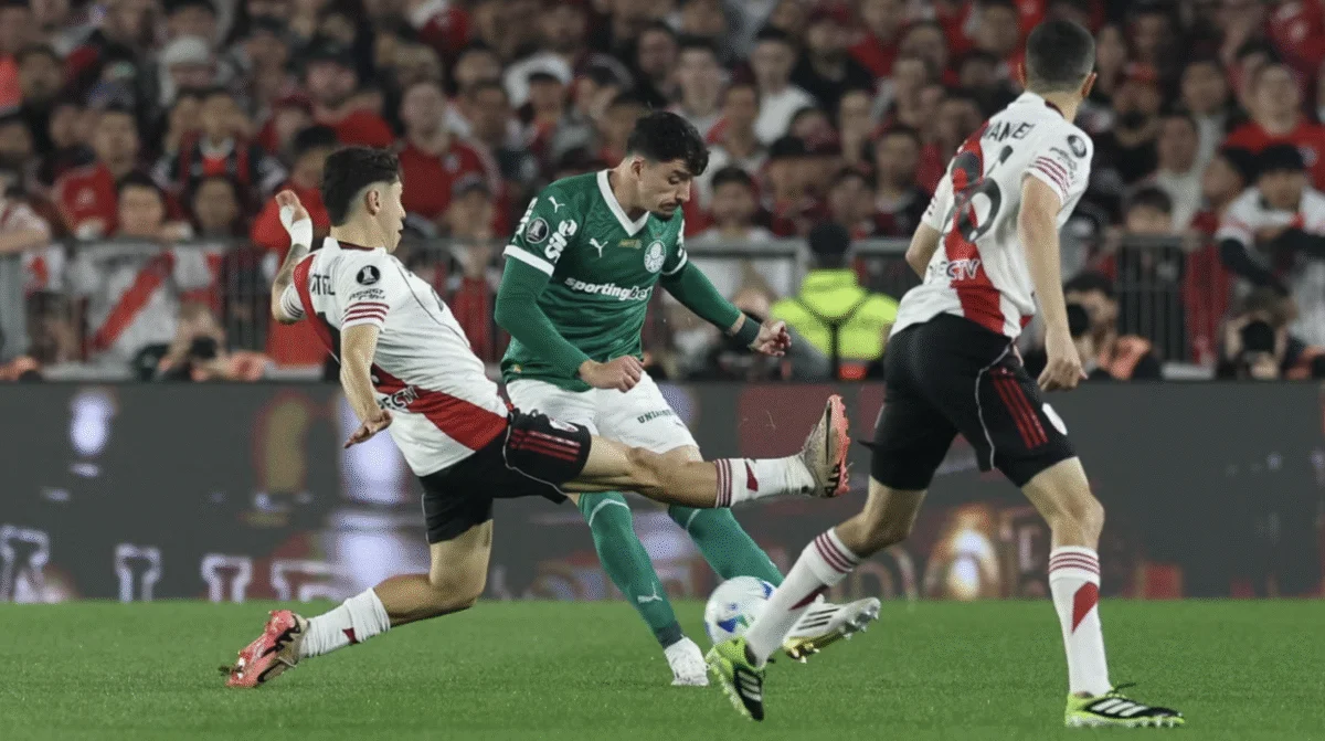 palmeiras