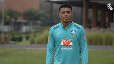 robson palmeiras