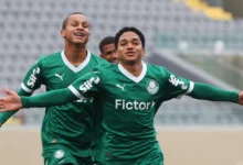 palmeiras