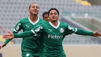 palmeiras