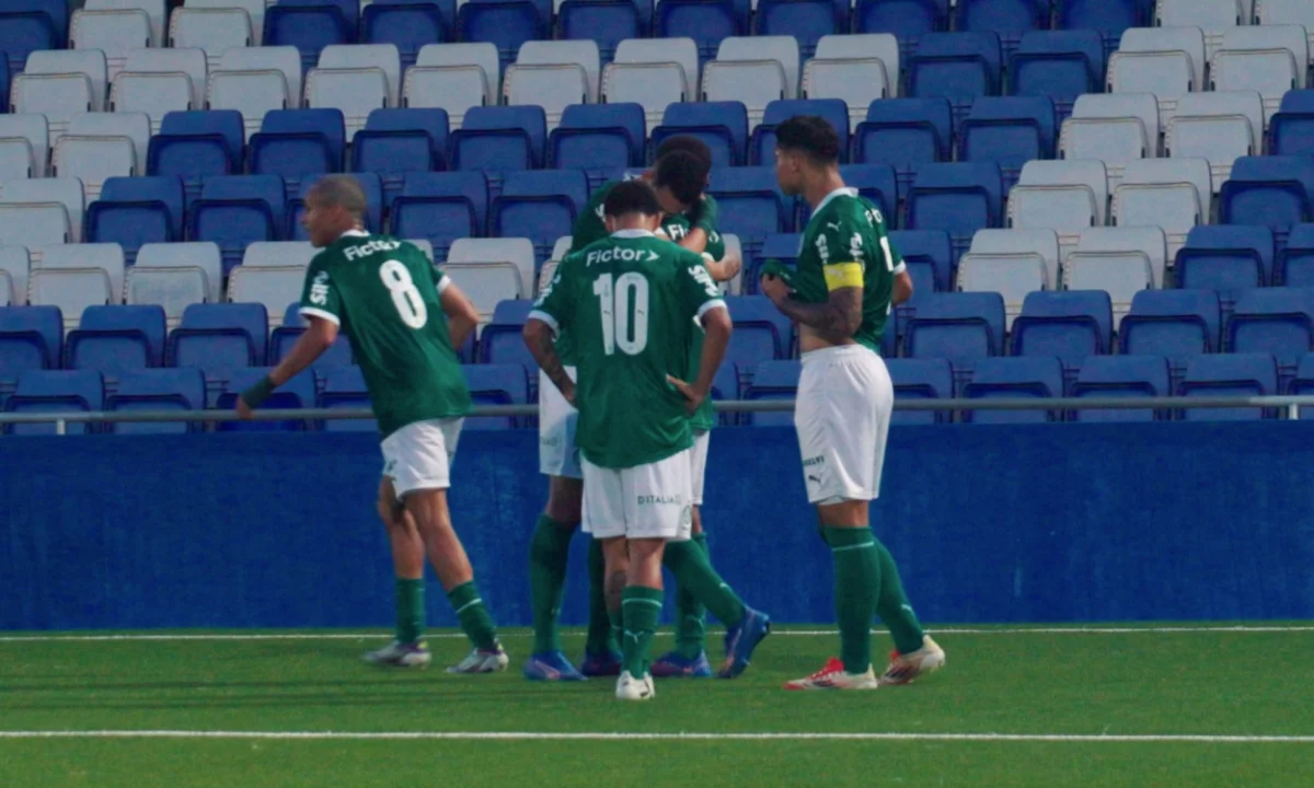 palmeiras