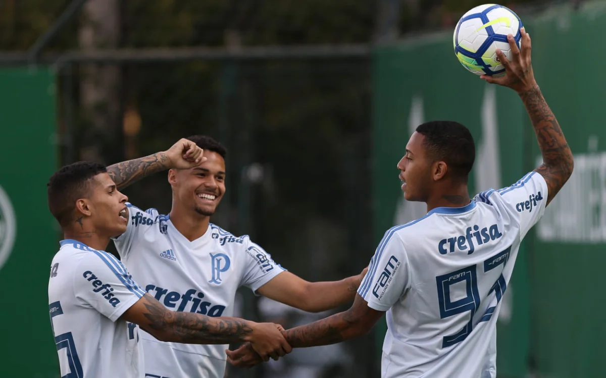palmeiras