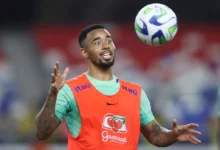 gabriel jesus PALMEIRAS