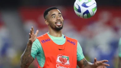 gabriel jesus PALMEIRAS