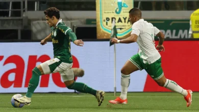 palmeiras x juventude